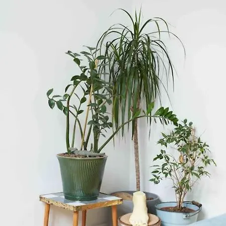 Lovely Flat With Soul By The River Wisla アパート