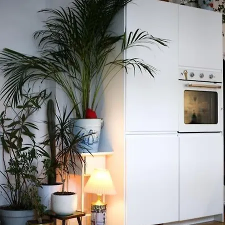 Lovely Flat With Soul By The River Wisla クラクフ